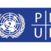 logo-pnud1